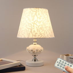 家和燈飾產(chǎn)品及加盟店 照亮家居與商業(yè)前景